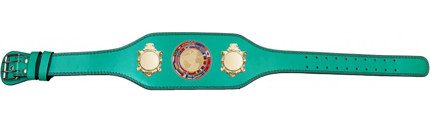 CHAMPIONSHIP BELT - BUD003/G/FLAGG - AVAILABLE IN 4 COLOURS